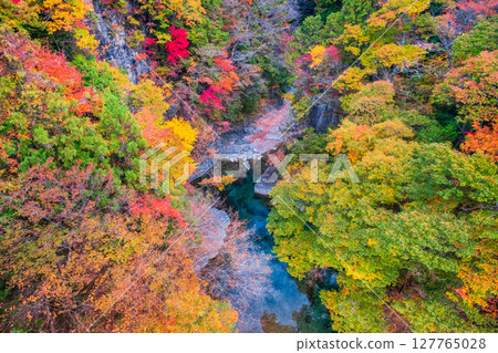 Tsuchikyo Gorge (Autumn) 127765028