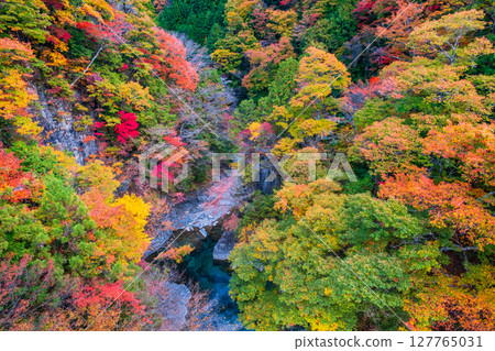 土chi峽（秋天） 127765031