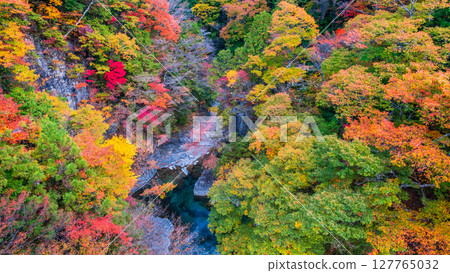 土chi峽（秋天） 127765032