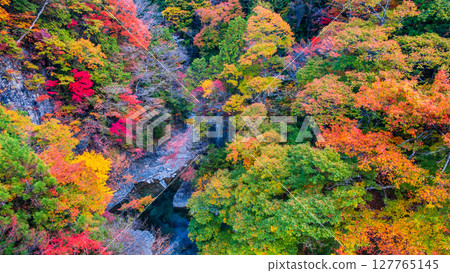 Tsuchikyo Gorge (Autumn) 127765145