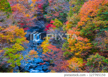 Tsuchikyo Gorge (Autumn) 127765150