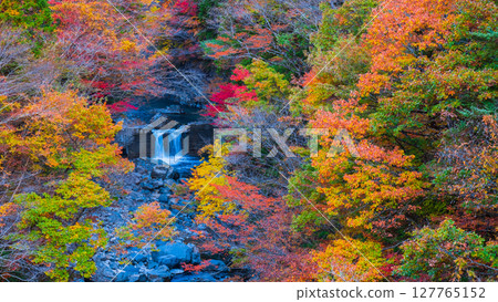 Tsuchikyo Gorge (Autumn) Tsuchikyo Gorge (Autumn) 127765152