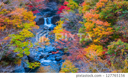 土chi峽（秋天） 127765156