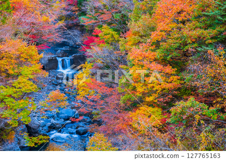 Tsuchikyo Gorge (Autumn) 127765163