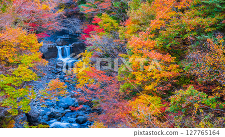 Tsuchikyo Gorge (Autumn) 127765164