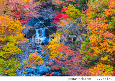 Tsuchikyo Gorge (Autumn) 127765169
