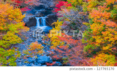 Tsuchikyo Gorge (Autumn) Tsuchikyo Gorge (Autumn) 127765170