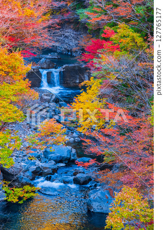 Tsuchikyo Gorge (Autumn) 127765177