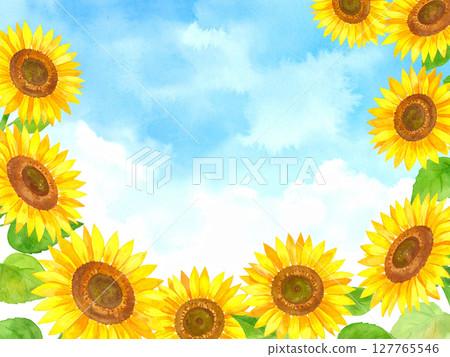 Sunflower and blue sky 127765546