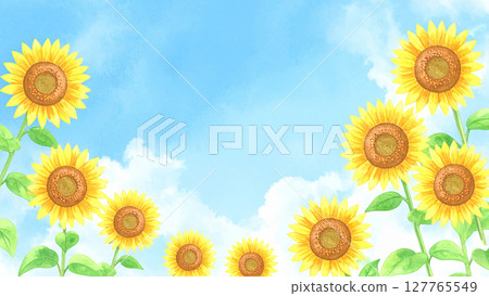 Sunflower and blue sky 127765549