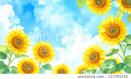 向日葵和藍天 127765550
