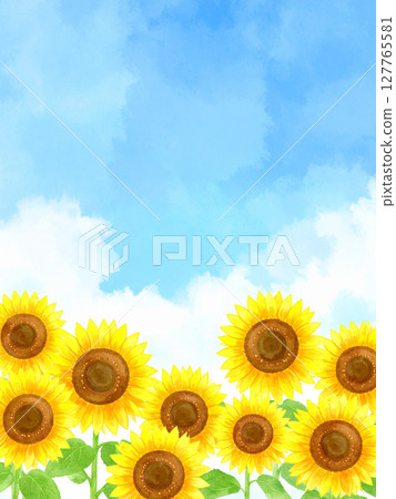 向日葵和藍天 127765581