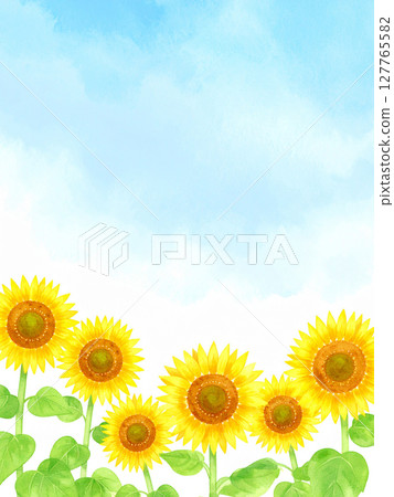 Sunflower and blue sky Sunflower and blue sky 127765582