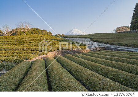 Scenery of Obuchisaba in Fuji City (Shizuoka Prefecture) Scenery of Obuchisaba in Fuji City (Shizuoka Prefecture) 127766704