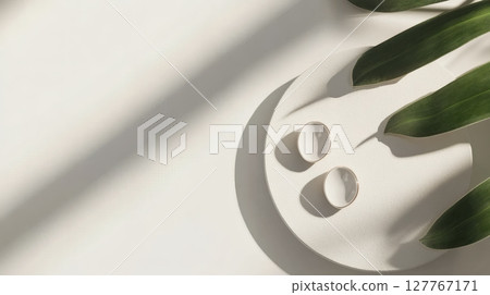 白色背景的耳環和室內植物 白色背景的耳環和室內植物 127767171