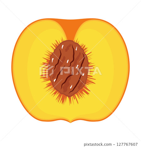 Peach Cross Section with Pit Illustration. Colorful vector illustration of a peach cross section showing the inner structure with a visible seed pit. 127767607