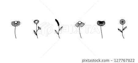 Loose Stemmed Blooms. A flowing set of loosely drawn flower stems with a relaxed organic feel and fine details, ideal for natural compositions. Loose Stemmed Blooms. A flowing set of loosely drawn flower stems with a relaxed organic feel and fine details, ideal for natural compositions. 127767822