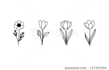 Delicate Hand-sketched Row. A linear floral group with fine lines and airy spacing, suitable for calm compositions and branding projects. Delicate Hand-sketched Row. A linear floral group with fine lines and airy spacing, suitable for calm compositions and branding projects. 127767834
