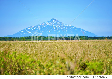 Sarobetsu Plain Scenery 127768770