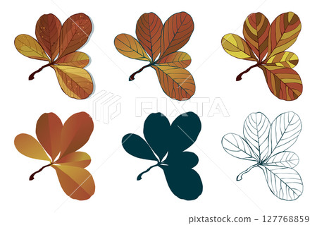 Hand-drawn autumn colored fall leaves isolated on white background. Flat line style vector illustration. Hand-drawn autumn colored fall leaves isolated on white background. Flat line style vector illustration. 127768859