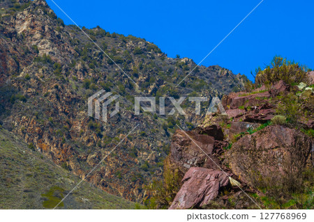 Majestic Kyrgyzstan mountains with rugged rocks and lush vegetation 127768969