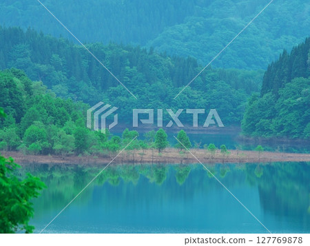 Fresh greenery on Lake Akiogi in Akita Prefecture - Submerged forest reflecting in the water 127769878