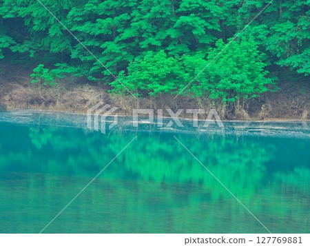 秋田縣秋木湖上的新綠色－水中倒映的森林 127769881