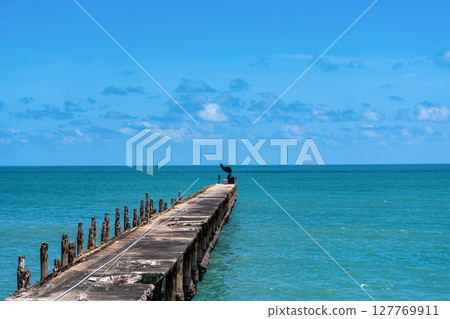 Bridge of the English at the Iracema beach, Fortaleza, Ceara in Brazil. Historical patrimony of Fortaleza Bridge of the English at the Iracema beach, Fortaleza, Ceara in Brazil. Historical patrimony of Fortaleza 127769911