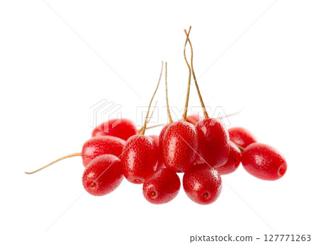 Elaeagnus multiflora isolated on white background. Cherry elaeagnus or cherry silverberry. Goumi or gumi berry. Clipping path. 127771263