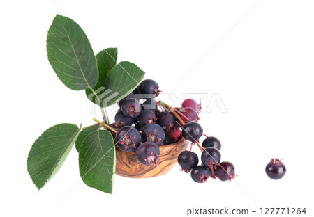 Serviceberry isolated on white background. Saskatoon, amelanchier, shadbush, juneberry, irga or sugarplum ripe berries in wooden bowl. Serviceberry isolated on white background. Saskatoon, amelanchier, shadbush, juneberry, irga or sugarplum ripe berries in wooden bowl. 127771264