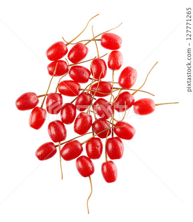 Elaeagnus multiflora isolated on white background. Cherry elaeagnus or cherry silverberry. Goumi or gumi berry. Top view. 127771265