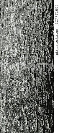 Vector illustration of Fontanesia phillyreoides bark close-up. Live wood background. Fontanesia phillyreoides trunk texture. Forest nature of skin. 127771695
