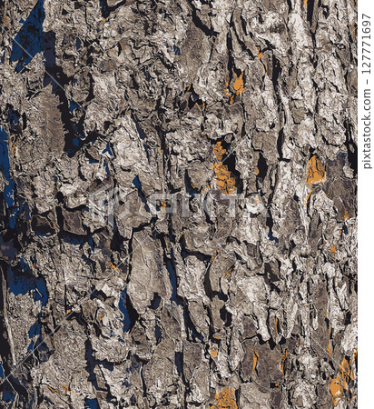 Vector illustration of Rowan bark close-up. The texture of the trunk of Sorbus torminalis L. Background from living wood. Skin of the forest nature. 127771697