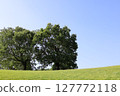 A tree standing on a hill 127772118