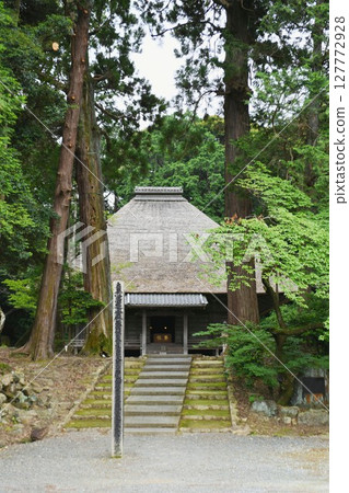 [湖西市：國家指定重要文化財產「本光寺」正殿和祖師杉] 127772928