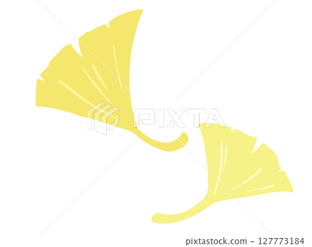 Ginkgo without main line Ginkgo without main line 127773184