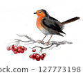 Bird on a tree branch with red berries. Hand drawn watercolour illustration 127773198