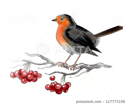Bird on a tree branch with red berries. Hand drawn watercolour illustration Bird on a tree branch with red berries. Hand drawn watercolour illustration 127773198