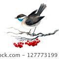 Bird on a tree branch with red berries. Hand drawn watercolour illustration 127773199