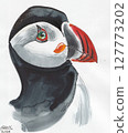 Puffin bird. Watercolor drawing 127773202