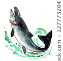 Leaping salmon fish. Watercolour drawing 127773204