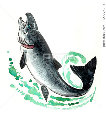 Leaping salmon fish. Watercolour drawing Leaping salmon fish. Watercolour drawing 127773204