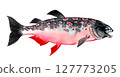Salmon fish. hand drawn watercolour illustration 127773205
