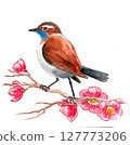 Bird on a blossoming tree. Hand drawn watercolour illustration 127773206