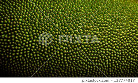 Closeup of Green Fruit Texture with Small Spikes 127774017