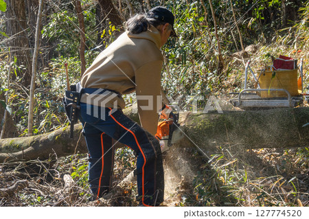 A person chopping firewood or cutting fallen trees with a chainsaw 127774520