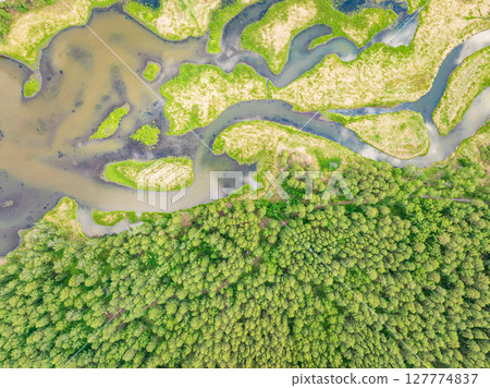 Aerial view of lake or river green shore with forest. Summer season. Aerial view of lake or river green shore with forest. Summer season. 127774837