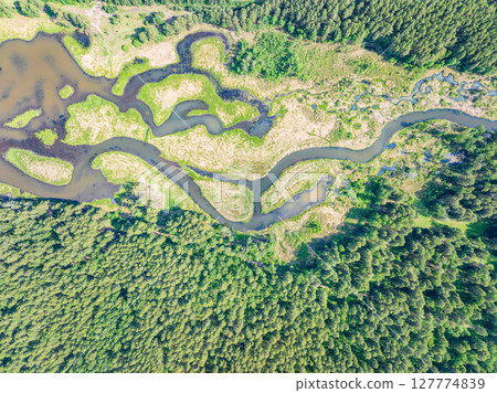 Aerial view of lake or river green shore with forest. Summer season. Aerial view of lake or river green shore with forest. Summer season. 127774839