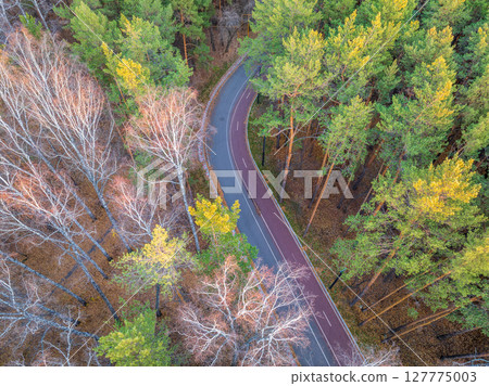 Aerial view of road in beautiful autumn forest at sunset. Beautiful landscape with empty rural road, trees with red and orange leaves. Aerial view of road in beautiful autumn forest at sunset. Beautiful landscape with empty rural road, trees with red and orange leaves. 127775003