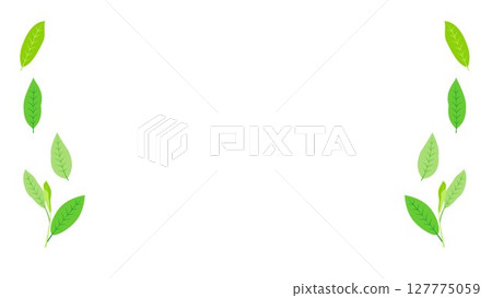 Simple leaf frame background illustration, vertical pattern, tea leaves, young leaves, vector png, white background Simple leaf frame background illustration, vertical pattern, tea leaves, young leaves, vector png, white background 127775059